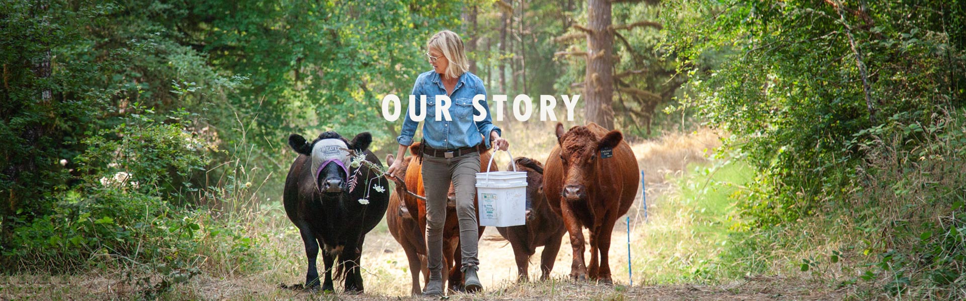 trf_our_story