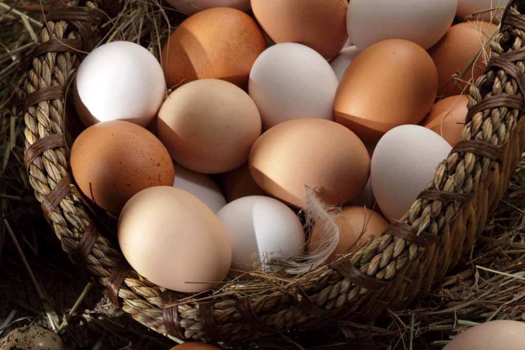 Eggs
